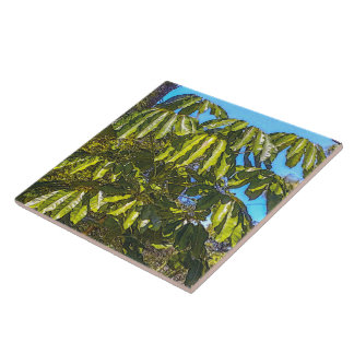 Schefflera Umbrellas Ceramic Tile