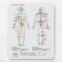 Schematic of the Chinese or Human Body Meridians