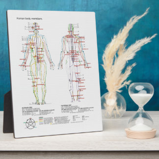Schematic of the Chinese or Human Body Meridians Plaque