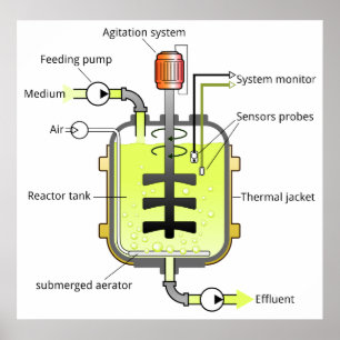 Schematic Structure of a Batch Type Bioreactor Poster