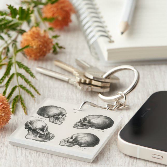 Schinz de Visser Human Monkey & Ape Skulls Key Ring (Front Right)