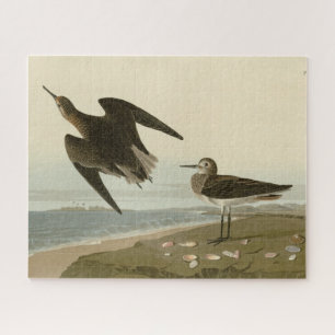 Schinz's Sandpiper from Audubon's Birds of America Jigsaw Puzzle