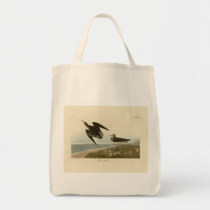 Schinz's Sandpiper from Audubon's Birds of America Tote Bag