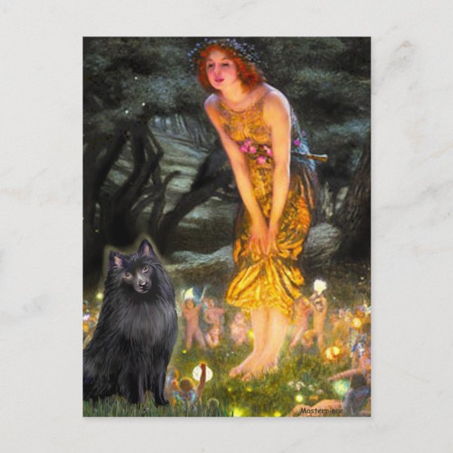 Schipperke 2 - MidEve Postcard (Front)