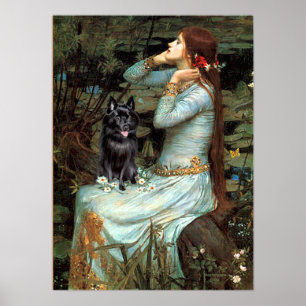 Schipperke 4 - Ophelia Seated Poster