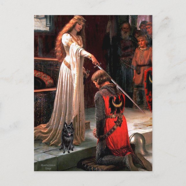 Schipperke 4 - The Accolade Postcard (Front)