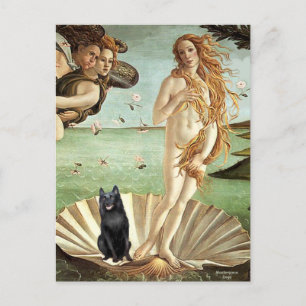 Schipperke 5 - Birth of Venus Postcard