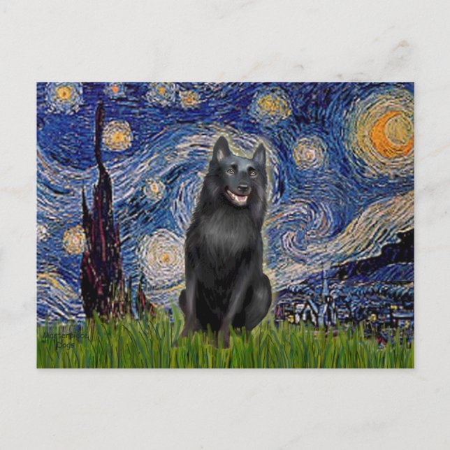 Schipperke 5 - Starry Night Postcard (Front)