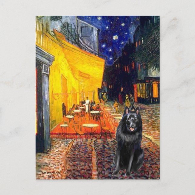 Schipperke 7 - Terrace Cafe Postcard (Front)