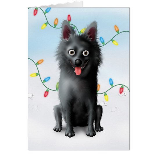 Schipperke Christmas Card