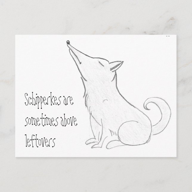 Schipperke Dog Cartoon Postcard (Front)