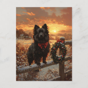 Schipperke Dog Rustic Winter Sunset Postcard