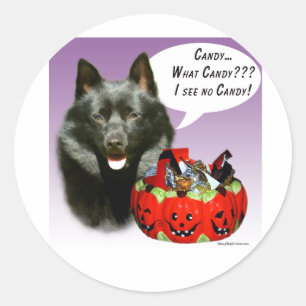 Schipperke Halloween Candy Classic Round Sticker