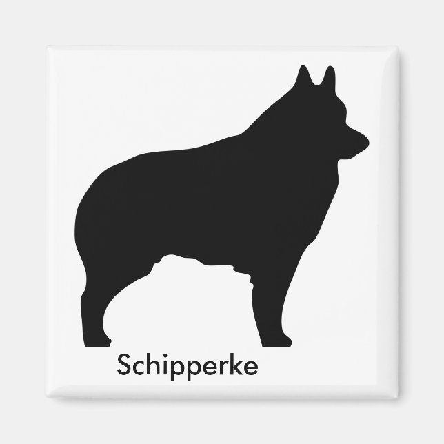 Schipperke Magnet (Front)