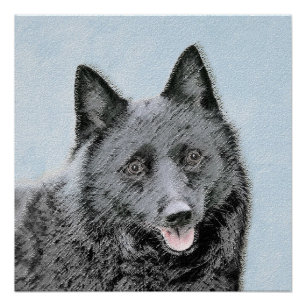 Schipperke Painting - Cute Original Dog Art Poster