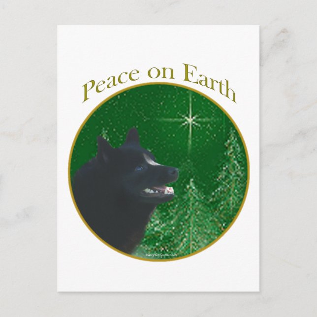 Schipperke Peace Postcard (Front)