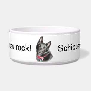 Schipperke Picture