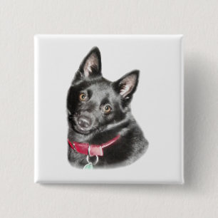 Schipperke Picture 15 Cm Square Badge
