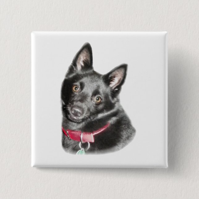 Schipperke Picture 15 Cm Square Badge (Front)