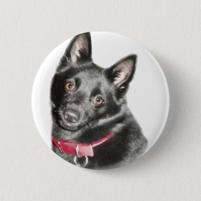 Schipperke Picture 6 Cm Round Badge (Front)