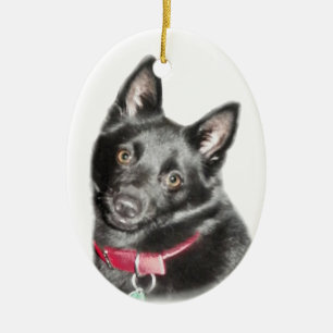 Schipperke Picture Ceramic Tree Decoration