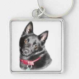 Schipperke Picture Key Ring