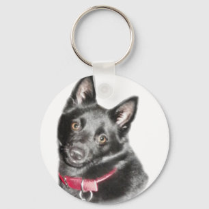 Schipperke Picture Key Ring