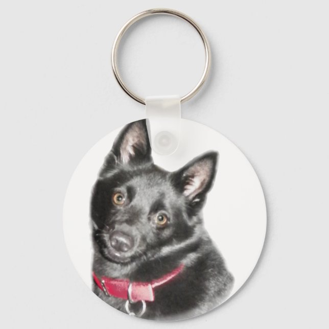 Schipperke Picture Key Ring (Front)