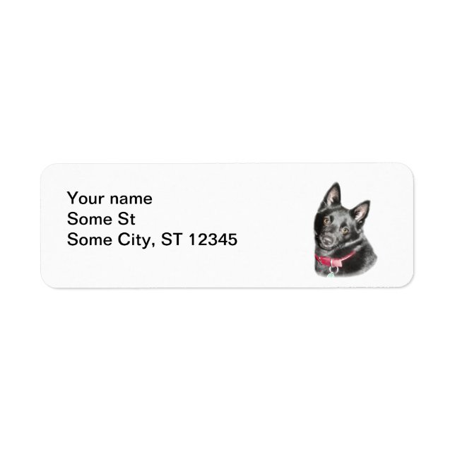 Schipperke Picture Return Address Label (Front)