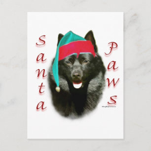 Schipperke Santa Paws Holiday Postcard