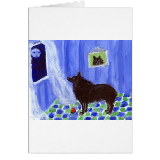 schipperke senses smiling moon