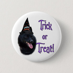 Schipperke Trick 6 Cm Round Badge