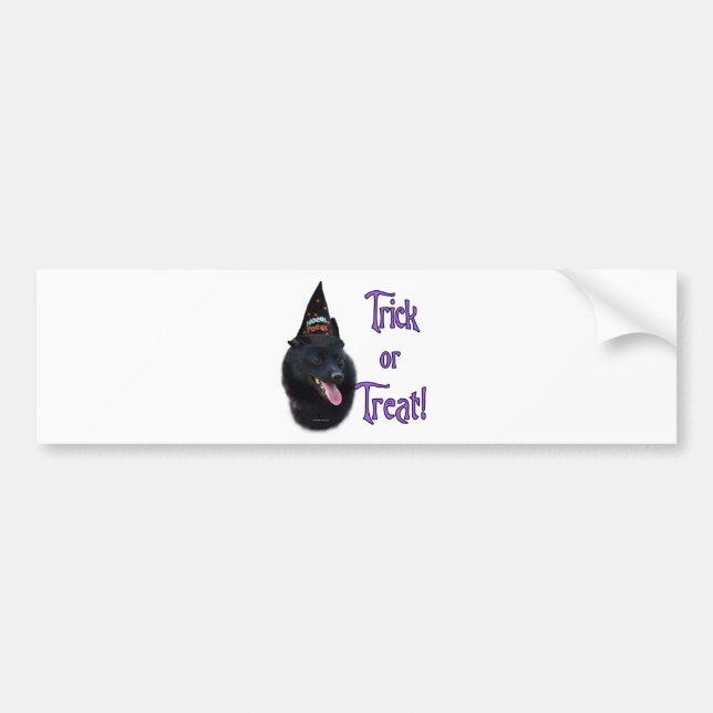 Schipperke Trick Bumper Sticker (Front)