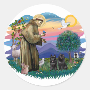 Schipperke (two) classic round sticker