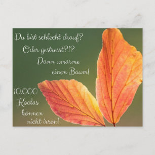 Schlecht drauf? Gestresst! Machs wie ein Koala! Postcard