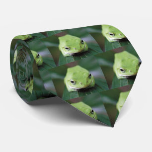 Schlegel Amagaea Tie