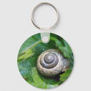 Schlüsselanhänger hübsche Schnecke Key Ring