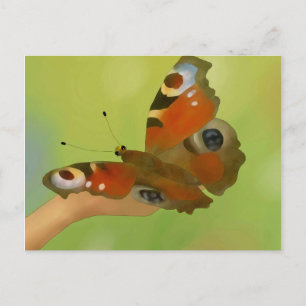 Schmetterling Postcard