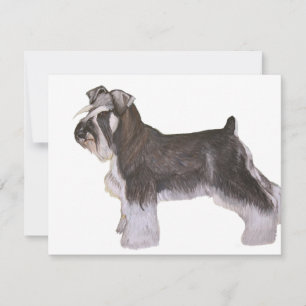 Schnauzer