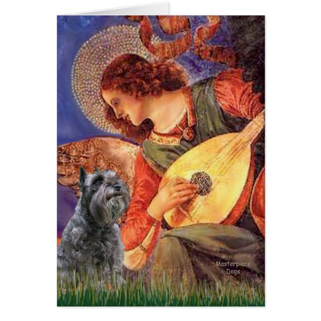 Schnauzer 12 - Mandolin Angel (Front)