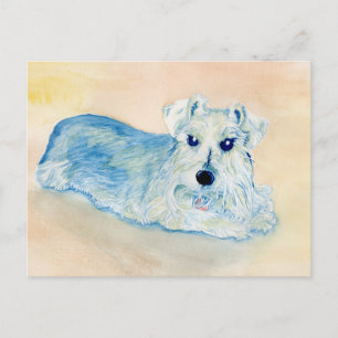 Schnauzer Andy Postcard
