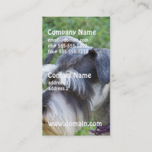 Schnauzer Business Cards