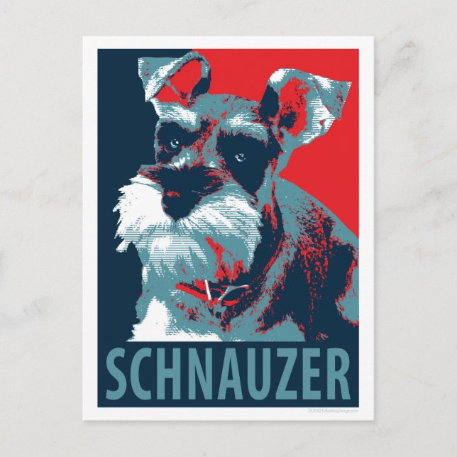Schnauzer by Hope Dogs Postcard (Front)