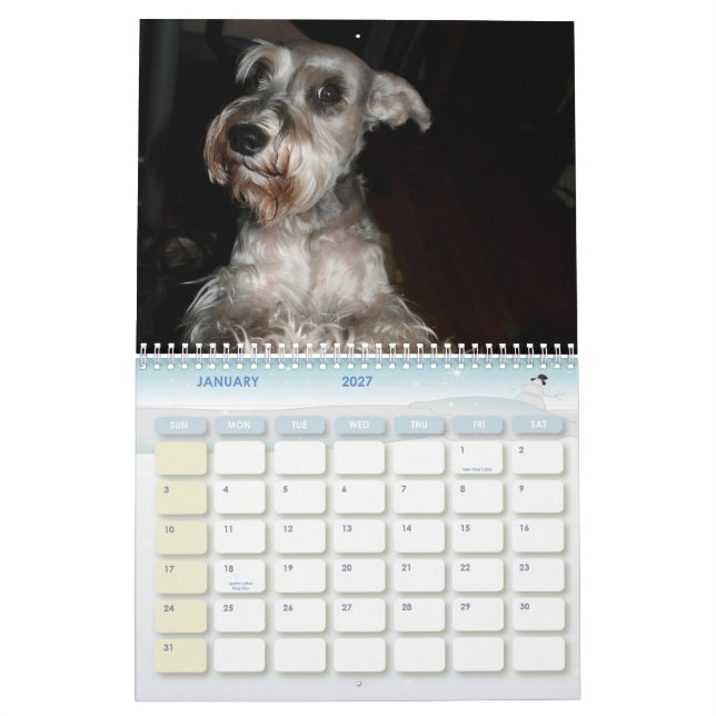 Schnauzer Calander Calendar (Jan 2027)