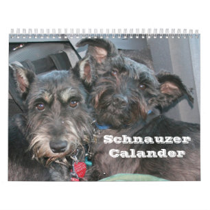 Schnauzer Calander Calendar