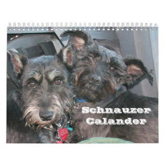 Schnauzer Calander Calendar