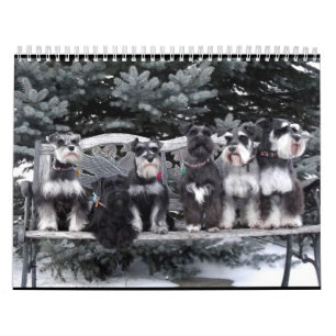 Schnauzer Calendar 2018