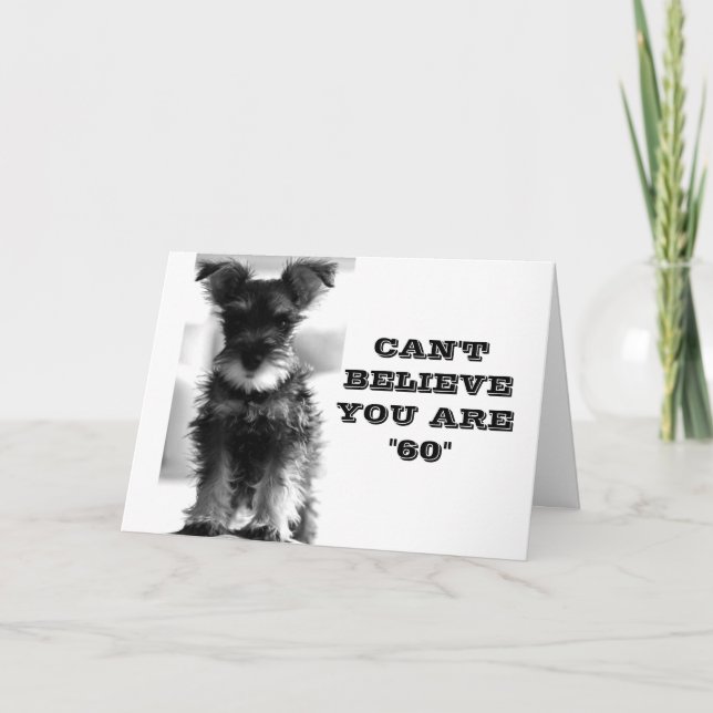 SCHNAUZER CAN'T BELIVE YOU ARE *60* BIRTHDAY CARD (Front)