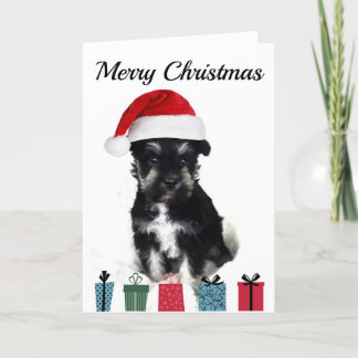 Schnauzer Christmas Card
