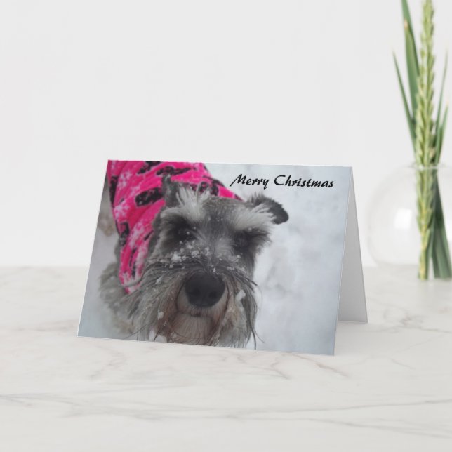 Schnauzer Christmas Card (Front)
